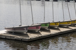 312-8746 Sailboats